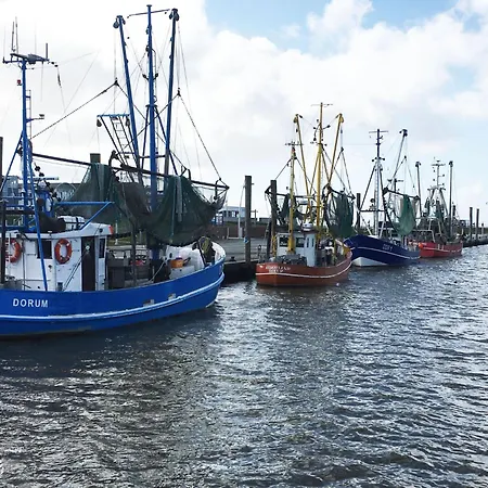 Prázdninový dům Ferienhuus Nordsee By Interhome